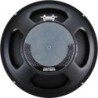 Celestion K12H-100TC